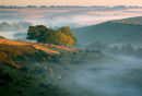 Church Bottom Mist
