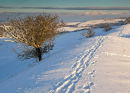 December