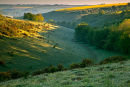 Early Morning Middleton Down