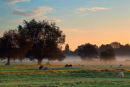 Early morning Harnham water meadows
