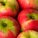 English Apples square