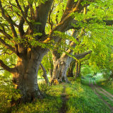 New Greetings Cards Designs added