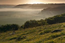 Dawn over Fovant Badges