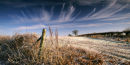 Frost on the Ox-Drove