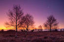 Ibsley Common Sunset