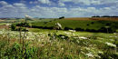 Knowle Hill in Summer