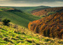 Melbury Down in Autumn