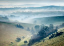 Mist in the Chalke Valley