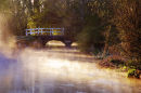 Misty Morning Longbridge