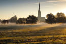 Morning sunlight in the Water Meadows