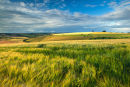Pincombe Down and Summer Storm