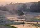 River Ebble Fifield Bavant
