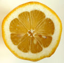 Slice of Lemon