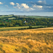 Wind and Barley Broad Chalke