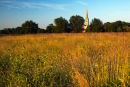Summer evening Harnham Water Meadows