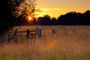 Summer sunset Harnham Water Meadows