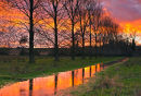 Sunset River Allen
