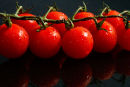 Tomatoes