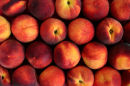 Tray of Peaches