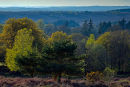 View from High Post
