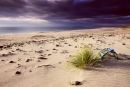 Creel pot and dune grass under storm clouds