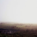 Fog, 2009