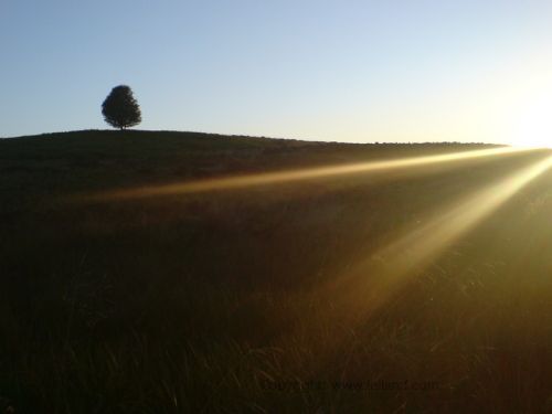 near Queens View, Stirling