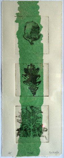 Oak