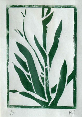 Plant