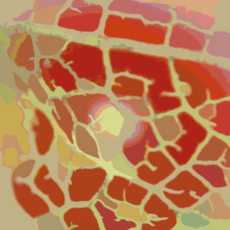 Chinese lantern