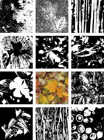 Leaves 2