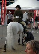 RDS 2010