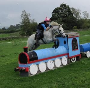 PEPPA'S PRINCE 
4 YR OLD GELDING 
SIRE CRUSADER
SIRE OF DAM  COOSHEEN CALLOWFEENISH (GRADE A )
OWNER AND RIDER PEPPA BARNETT    