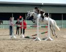 Kippure Sabrina - RDS 2011