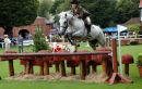 RDS Performance Hunter 2011  Kippure Sabrina