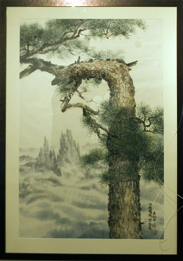  Pine tree