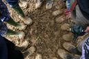 Mud circle