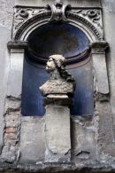 Bust