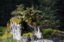 Rock and tree