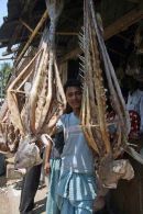 Dried fish