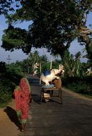 Country road