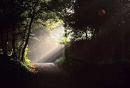 Shaft of light