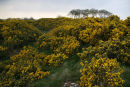 Wiveton, Norfolk