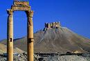 Palmyra