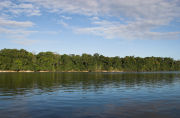 ESSEQUIBO RIVER