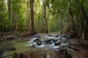 Khao Nor Chuchi Wildlife Sanctuary