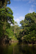 Burro-Burro river