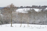 Mid winter
