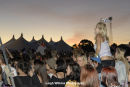 Groovin The Moo