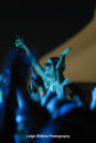 Groovin The Moo